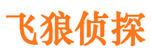 宣威飞狼私家侦探公司